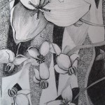 1 Akebia, grafitna olovka, papir 18x23,5 cm